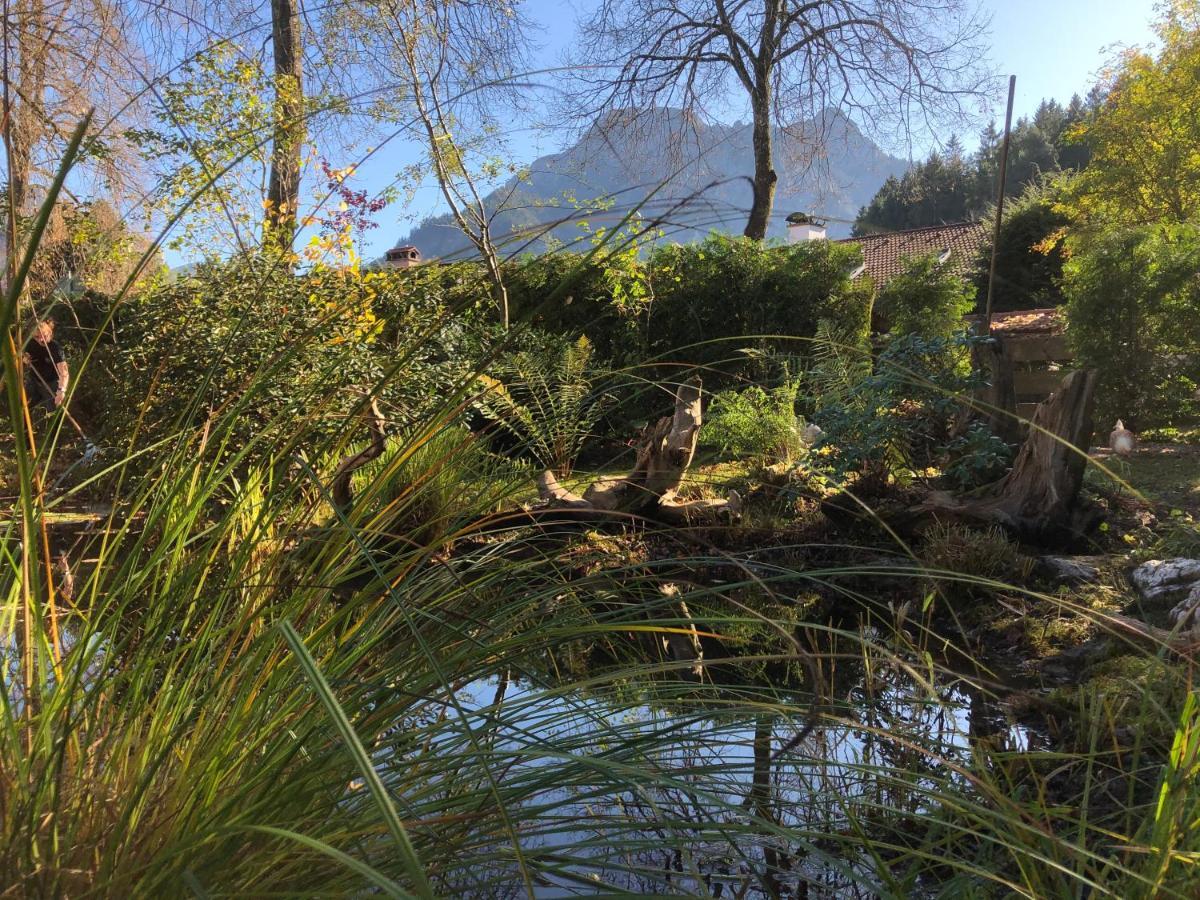 Haus Bullachberg Schwangau Buitenkant foto